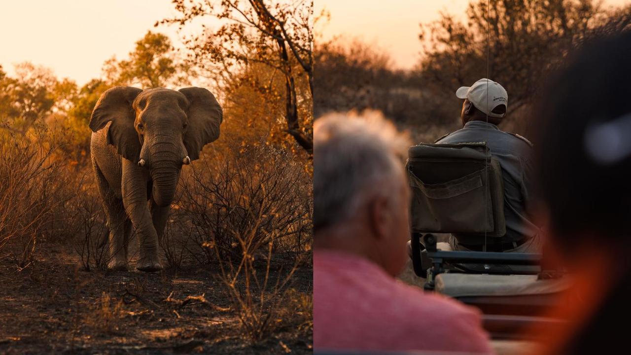 Geiger'S Camp In Timbavati Game Reserve By Newmark Buitenkant foto