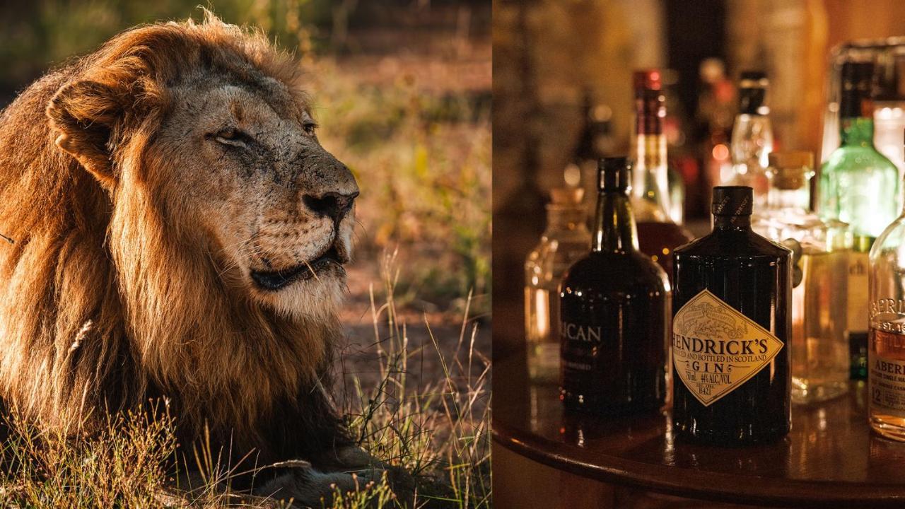 Geiger'S Camp In Timbavati Game Reserve By Newmark Buitenkant foto