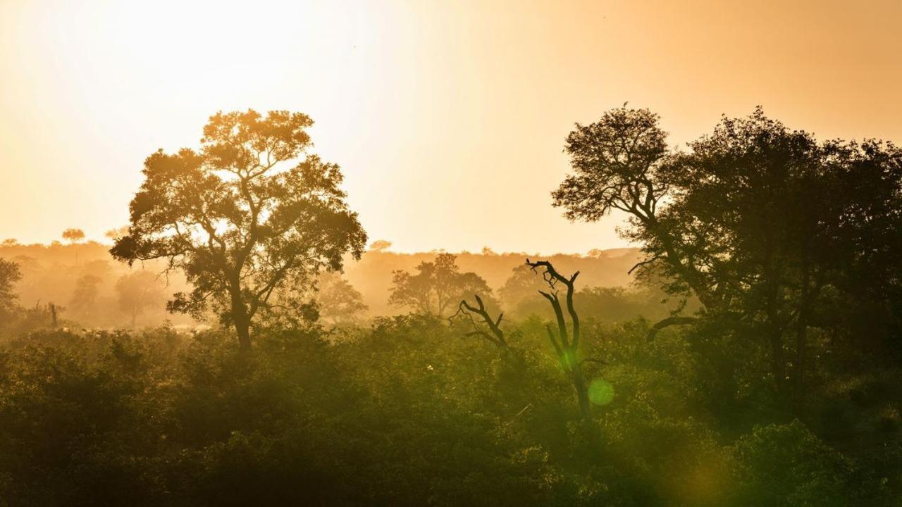 Geiger'S Camp In Timbavati Game Reserve By Newmark Buitenkant foto